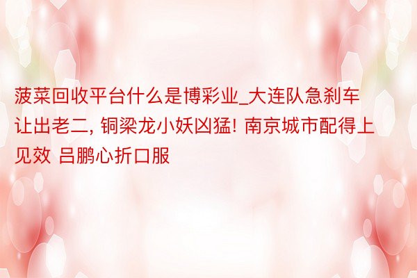 菠菜回收平台什么是博彩业_大连队急刹车让出老二, 铜梁龙小妖凶猛! 南京城市配得上见效 吕鹏心折口服