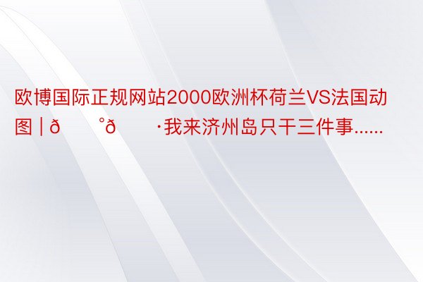 欧博国际正规网站2000欧洲杯荷兰VS法国动图 | 🇰🇷我来济州岛只干三件事......